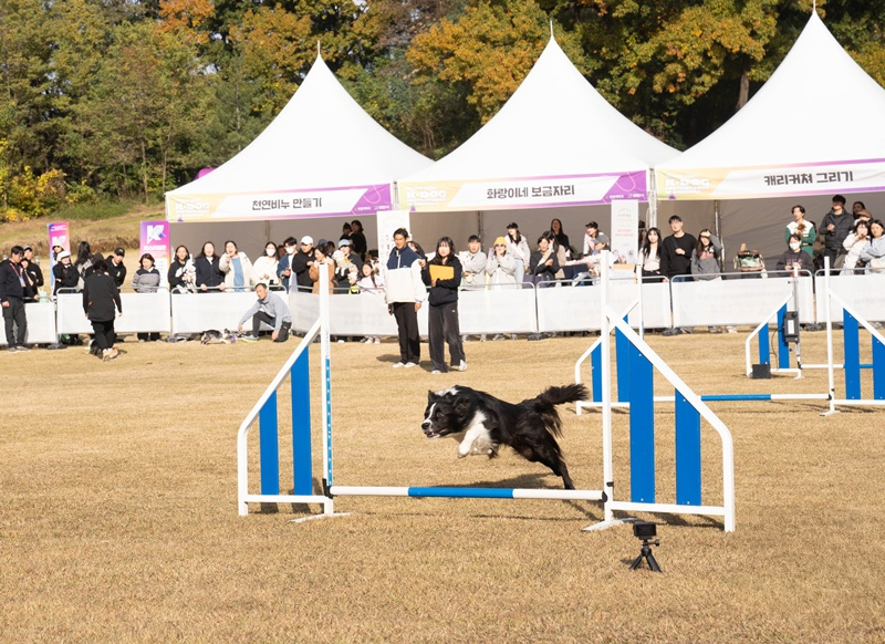 축산과(2025 K-DOG FESTIVAL) (3).jpg