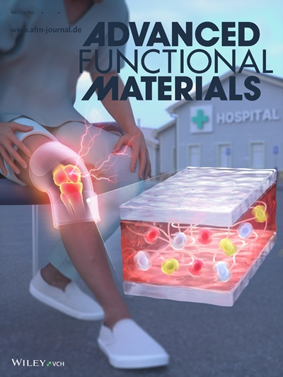 (그림) 2025년 11월 5일 발행된 ‘Advanced Functional Materials’ 저널 뒷 표지(Back Cover).jpg