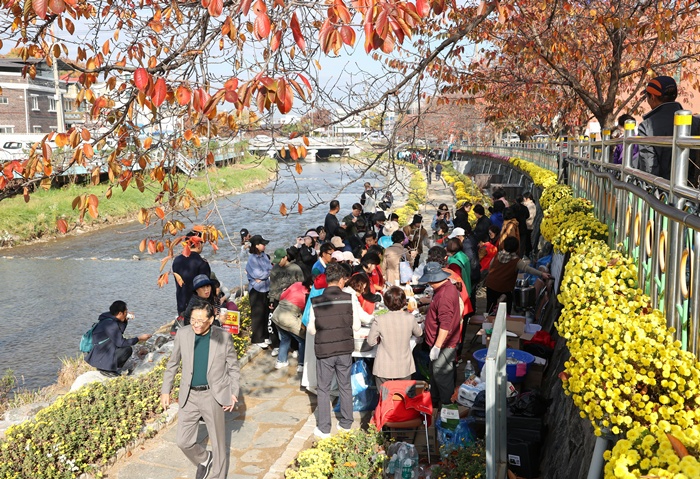251118 꿈자람골 용산동 국화꽃길 나들이 행사 개최(24년 국화꽃길 행사 사진)1.jpg