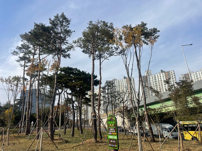 01.1 청주시, 도시숲 조성 2개소서 완료… 열섬완화 미세먼지 저감 기대. 사진(가마교차로 준공사진).jpeg