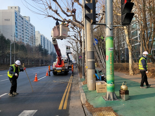 03.1 “보행·교통 안전 강화” 청주시, 도로변 가로수 정비 추진. 사진.jpg