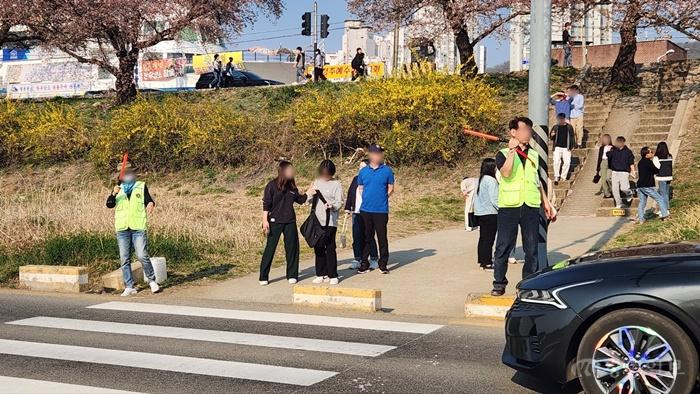 03.1 청주시, 무심천 벚꽃개화기 안전관리에 2,500명 투입_사진.jpeg