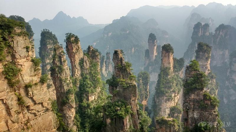영화 〈아바타〉 촬영지로 유명한 장가계 기암절벽 전경(사진 출처 Unsplash).jpg