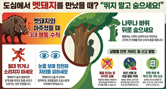행동 요령 안내(소방본부).png