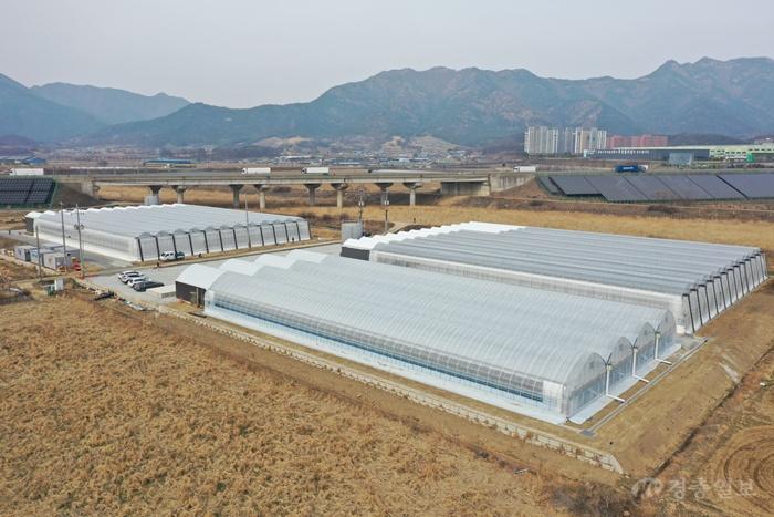 4.30.보은군, 임대형 스마트팜 2차 임차인 모집(경영실습농장 전경).jpg