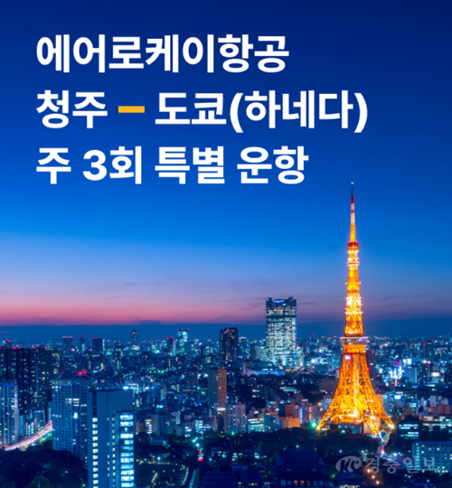 청주-하네다 주3회 특별운항.png