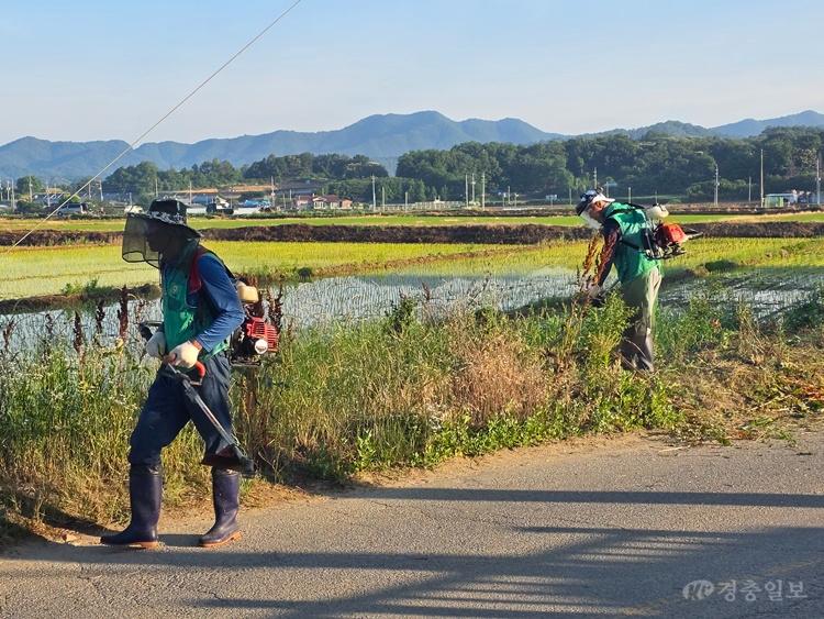 사리면 새마을 협의회, 주요 도로변 풀베기 (3).jpg