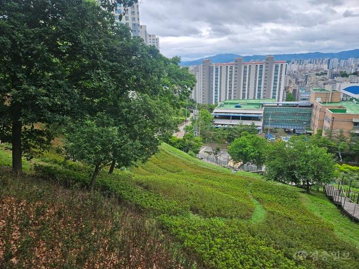 공원관리과(공원 새단장-노태공원 화목류 식재지 전경).jpg