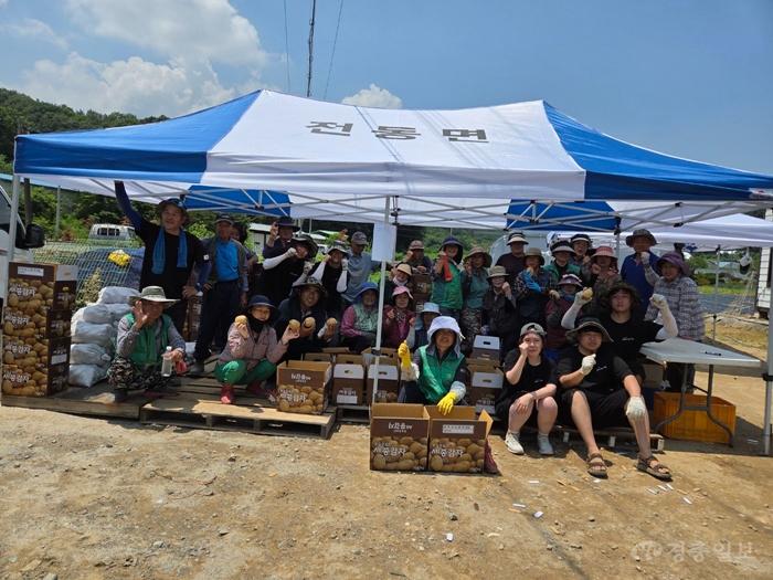 감자수확(전동면).jpg
