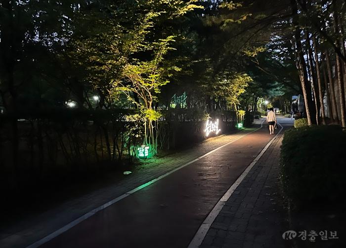 03.2 청주시, 용암동 ‘걷고싶은거리’ 야간경관 조성사업 완료. 사진2.jpg