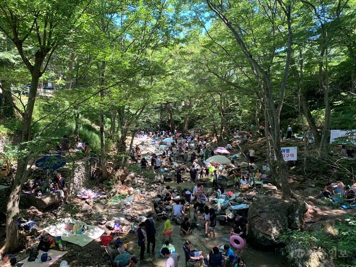 3. 아산시, 강당골 계곡 안전관리 강화…명품 휴양지 손님맞이.jpg