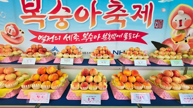 KakaoTalk_20260724_185541934.jpg