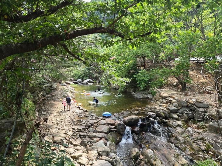 3. 더 안전하고 깨끗해지는 물한계곡… 여름 피서객 발길 이어져 (1).jpg