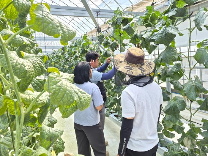 1.실증시험포.jpg
