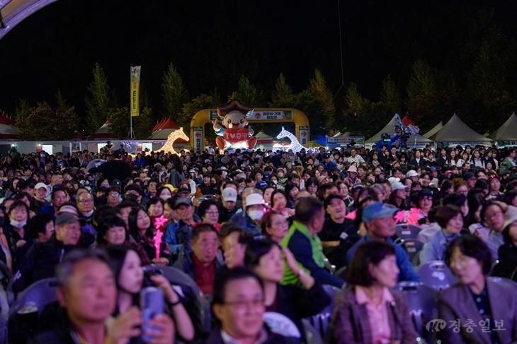 인삼골 주무대 공연관람하는 관객들.jpg