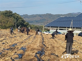 괴산군 농업정책과, 일손부족으로 어려움 겪는 농가에 일손돕기 지원