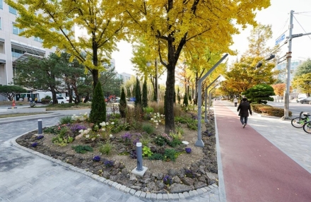 대전시청 북문 광장 시민애뜰로 돌아왔다