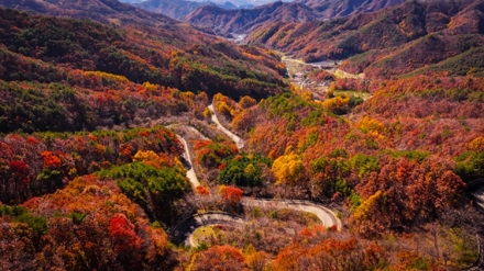 영동 도마령, 만추의 절경 속 가을 여행지로 떠오르다