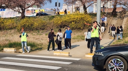 청주시, 무심천 벚꽃개화기 안전관리에 2,500명 투입