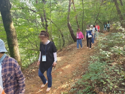 천안시, 산림치유로 조직 활력 높인다… 심리회복 지원