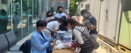 청주시, 반려견 광견병 예방백신 무료접종 실시