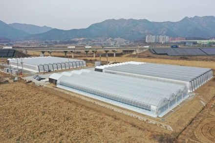 보은군, 임대형 스마트팜 2차 임차인 모집