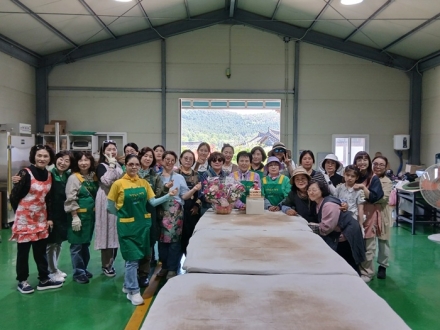 충청한방꽃차협동조합, 보성 청우다원서 녹차 제다 체험 진행