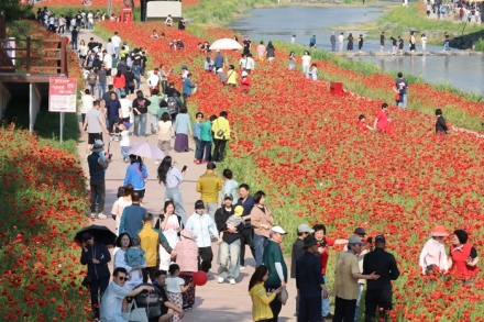 괴산 빨간맛 페스티벌, 더 화려해진다…먹거리·꽃길·야간 콘텐츠 풍성