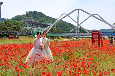 “붉은 설렘, 괴산에서”…2026괴산빨간맛페스티벌 성황리 폐막