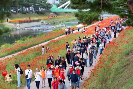 괴산빨간맛페스티벌, 지역경제 살리는 ‘효자 축제’로 자리매김