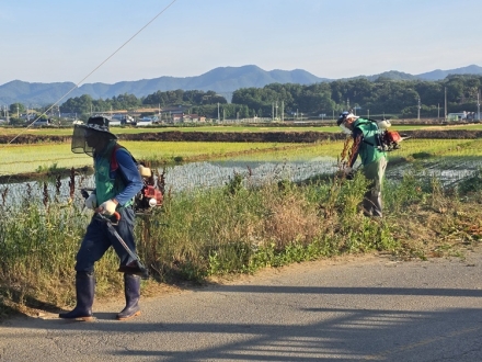 사리면 새마을 협의회, 주요 도로변 풀베기사업 추진