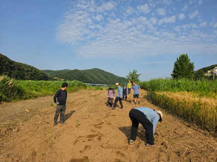 [세종소식]관광객 맞이 분주한 금암2리…금벽정 환경개선 활동 펼쳐