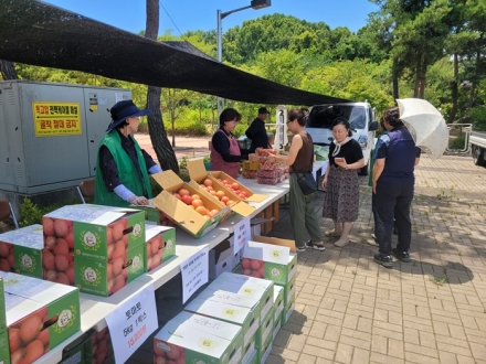 연동면, 지역 농가·산업단지 상생 모델 구축