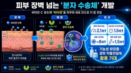 순천향대, 피부 속 비타민C 전달 효율 높이는 분자 수송체 기술 개발