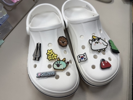 천안시, 관광캐릭터 ‘누비&또와’ 우수 기념품 최종 선정