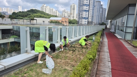 세종시자원봉사센터, 옥상 텃밭 채소 나눔으로 이웃사랑 실천