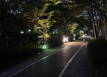 청주시, 용암동 ‘걷고싶은거리’ 야간경관 조성사업 완료