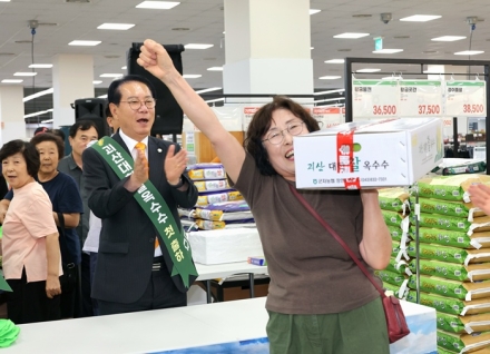 괴산대학찰옥수수 첫 출하…올여름 전국 소비자 입맛 공략