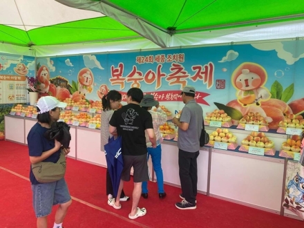조치원복숭아의 모든 것…11개 품종 전시관 '인기'