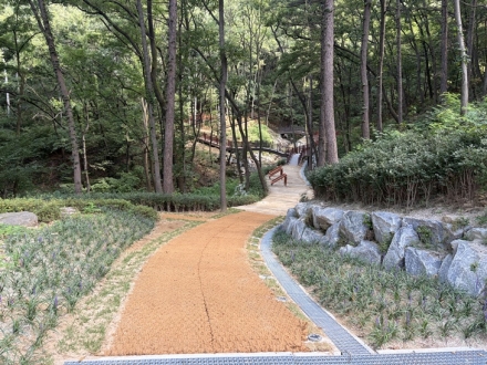 청주시, 상당산성에 도시생태 휴식공간 조성 완료