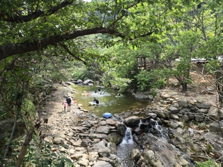 영동 물한계곡, 불법시설 걷어내고 ‘청정 피서지’로