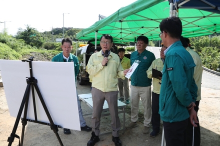 충남도, 소나무재선충병 ‘심각’…보령·서천·청양·태안 현장점검