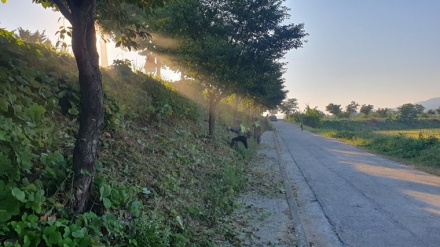 “안전하고 깨끗한 귀성길 만든다” 아산시, 도로변 예초·환경정비 총력