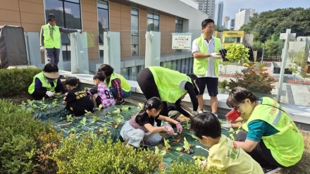 세종시자원봉사센터, 새롬동 옥상 텃밭서 상추 모종 심기