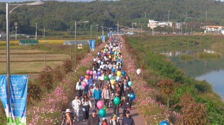 이천 호법코스모스꽃축제 성황…“청춘을 꽃피우다”