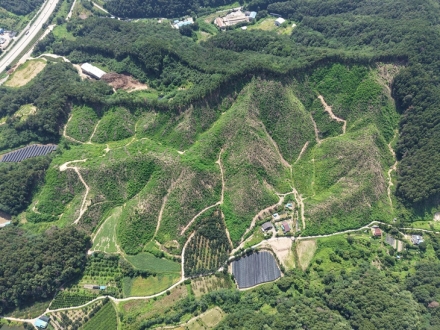 영동군, 용산면 한곡리에 10ha 규모 밀원단지 조성 완료