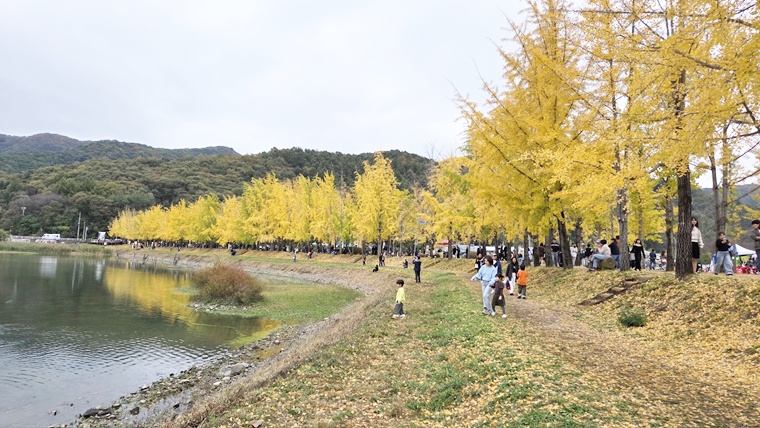 KakaoTalk_20261025_182742470.jpg