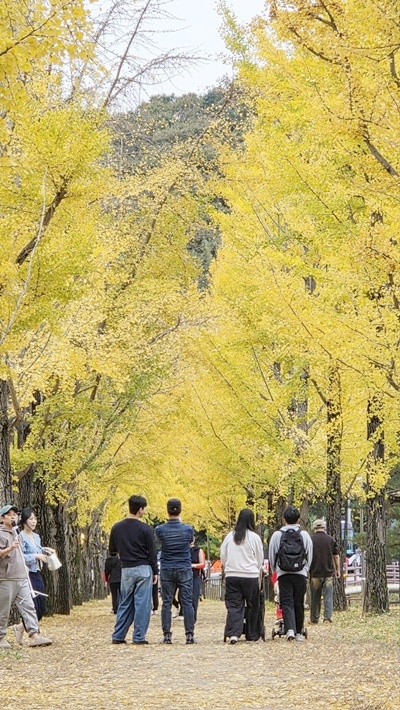 KakaoTalk_20261025_182942139.jpg