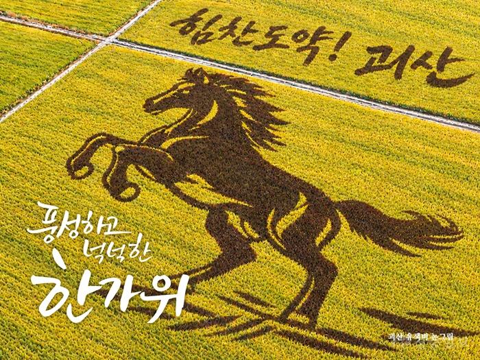 괴산 유색벼 논그림(로고x).jpg