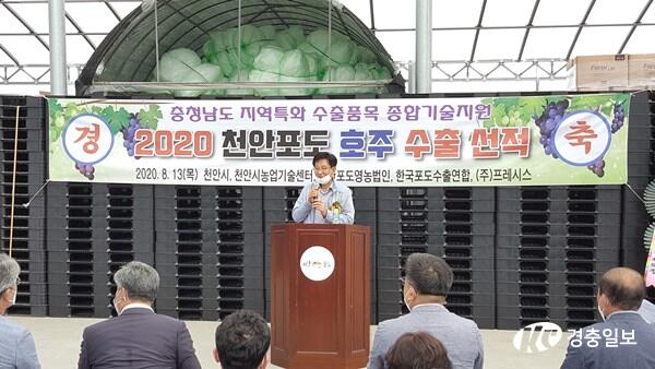 천안 하늘그린 거봉포도’ 호주와 뉴질랜드 수출